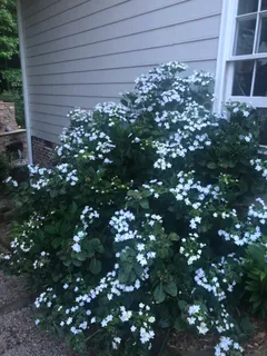 $949,000 | 4117 Worley Drive, Raleigh, NC 27613