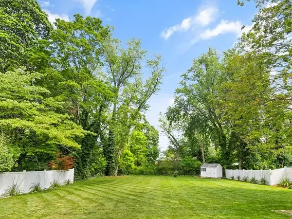 a view of a backyard with large trees
