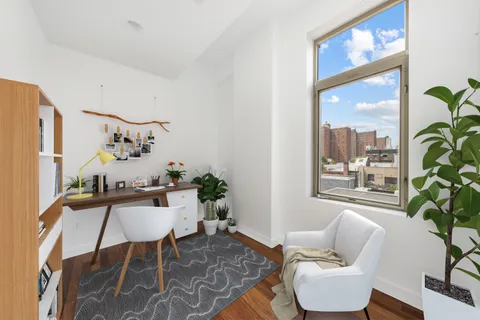 a living room with furniture and a potted plant