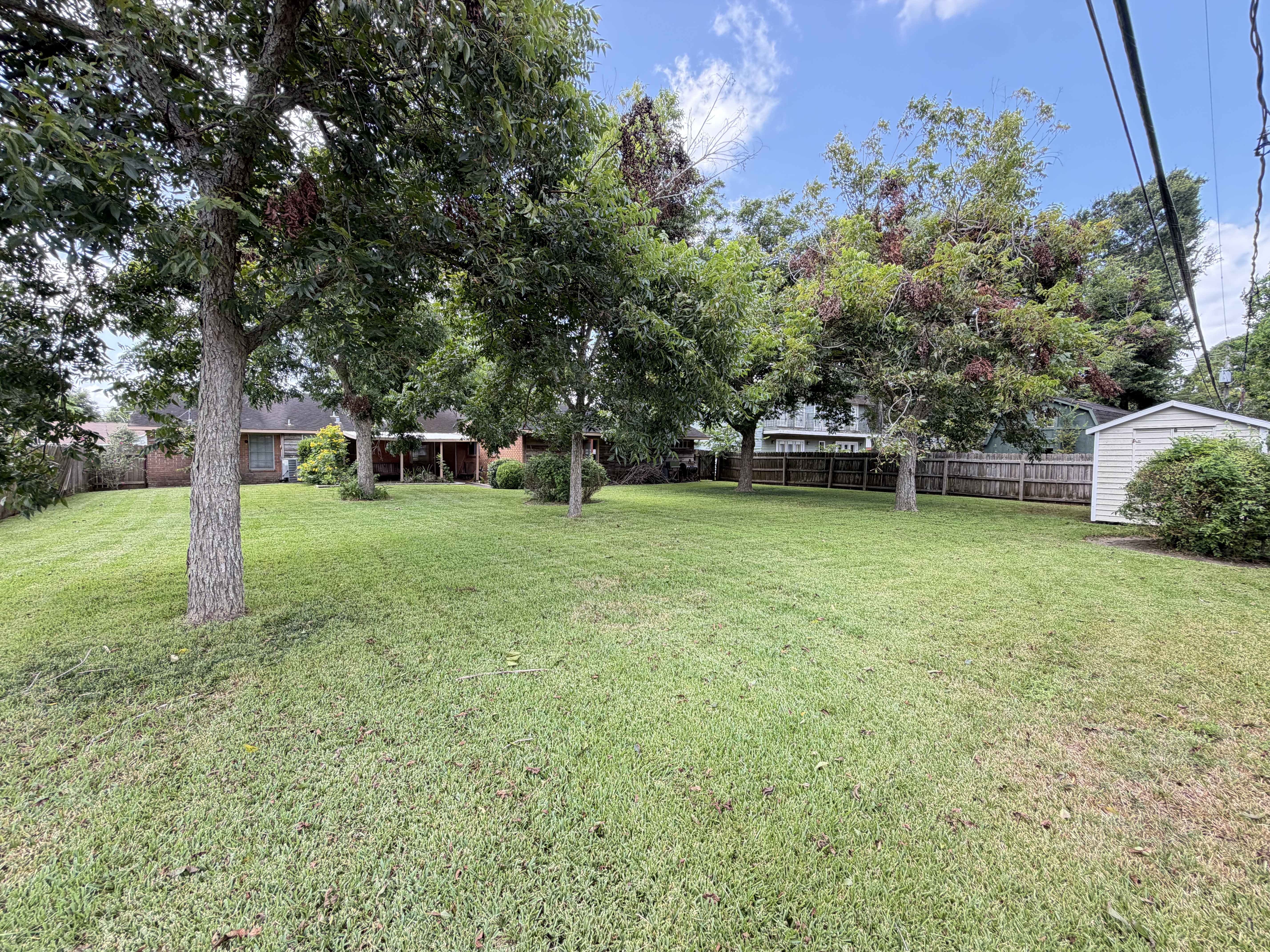 1115 Timber Lane Rosenberg, TX 77471 - Photo 9 of 11 Gallery Image 9