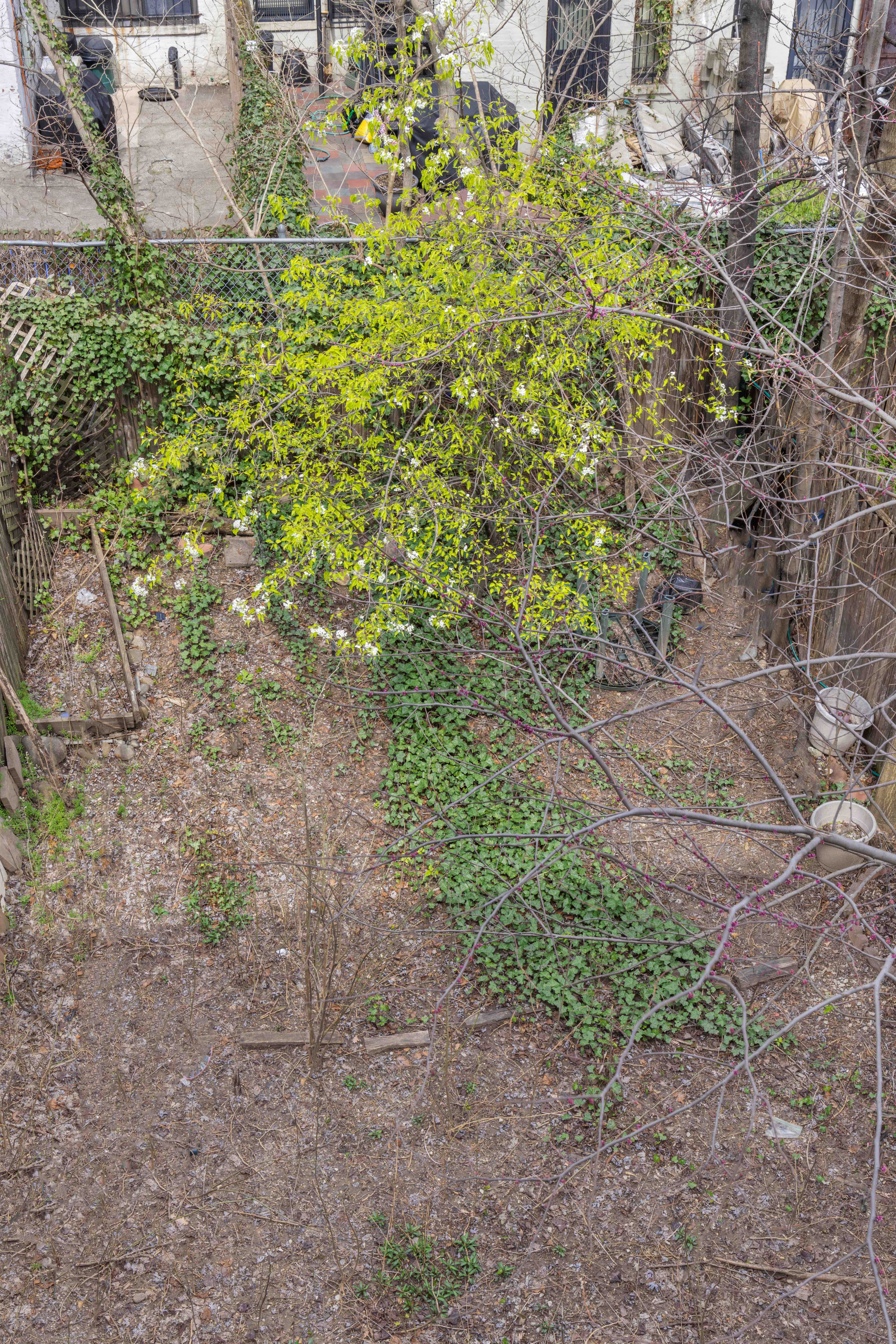 125 West 117th Street Manhattan, NY 10026 - Photo 21 of 23 a backyard of a house with lots of green space