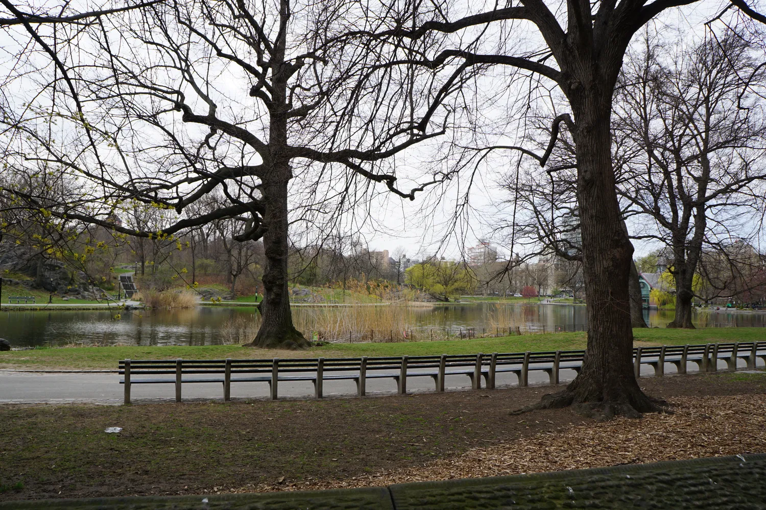a view of a lake with outdoor space