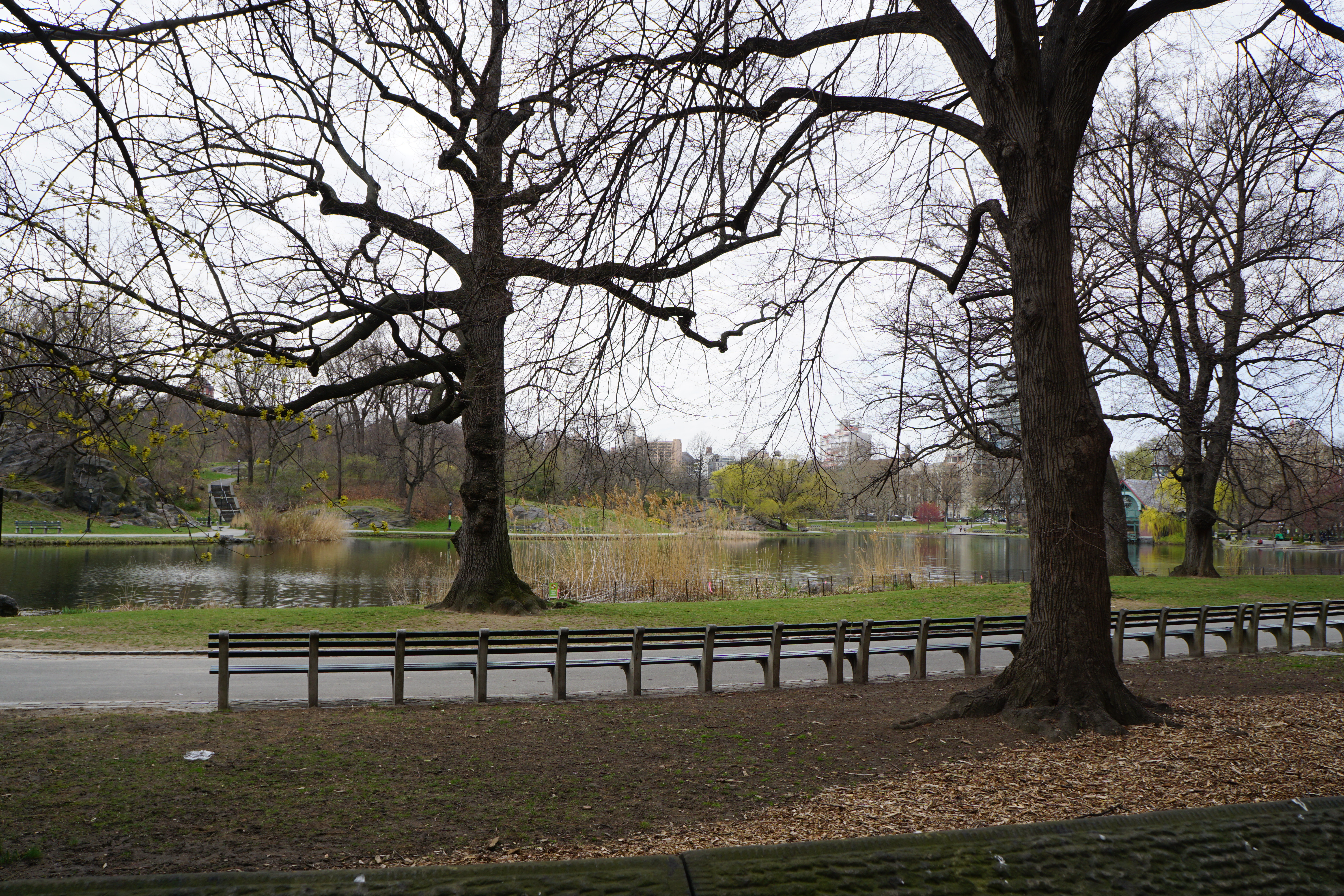 1255 5th Avenue, Unit 5J Manhattan, NY 10029 - Photo 13 of 17 a view of a lake with outdoor space