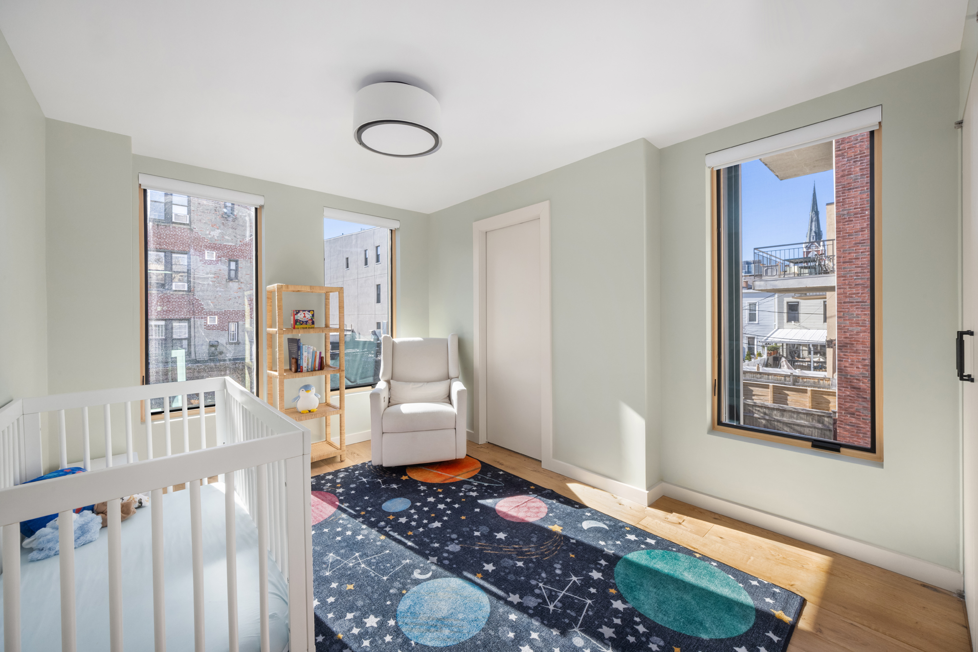 683 Leonard Street Brooklyn, NY 11222 - Photo 19 of 25 a living room with furniture and a rug