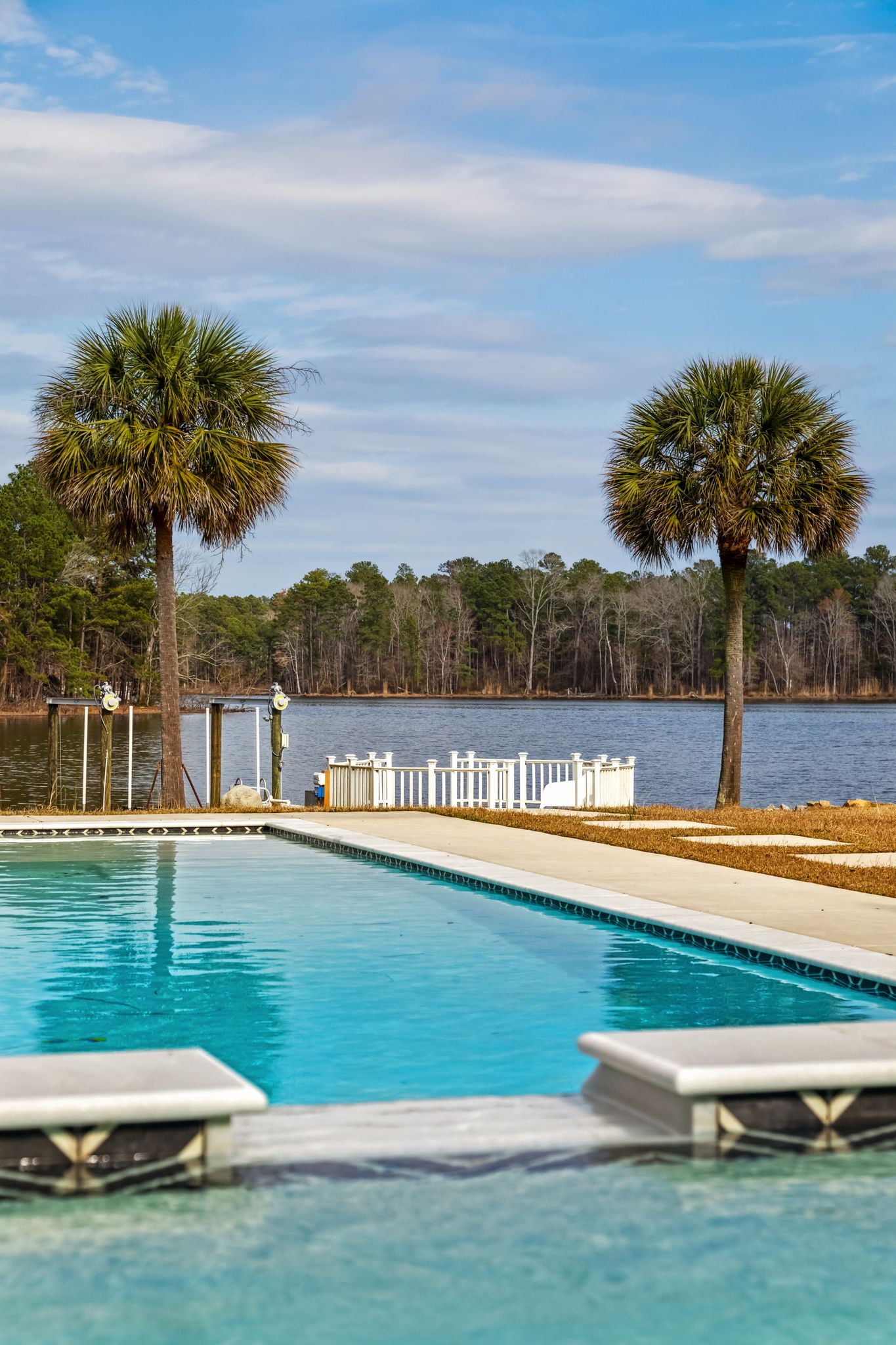 223 Tilden Point Circle Chapin, SC 29036 - Photo 60 of 74