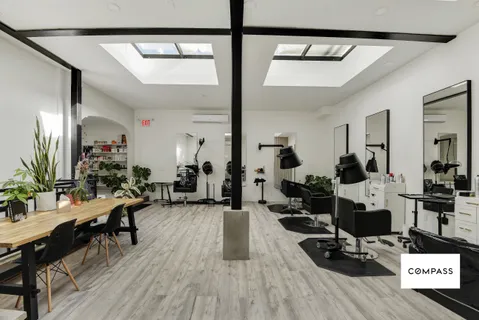 a living room with a couch and a potted plant