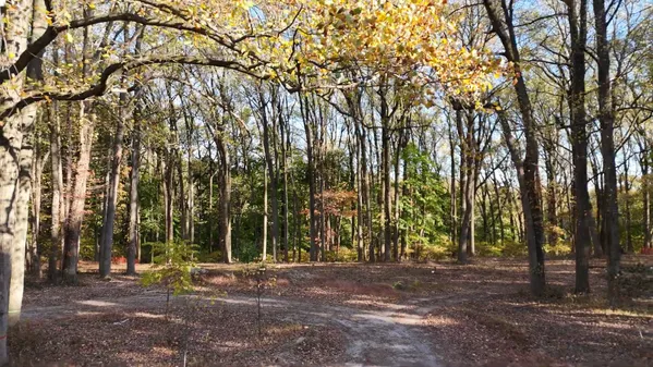 a view of outdoor space with lots of trees
