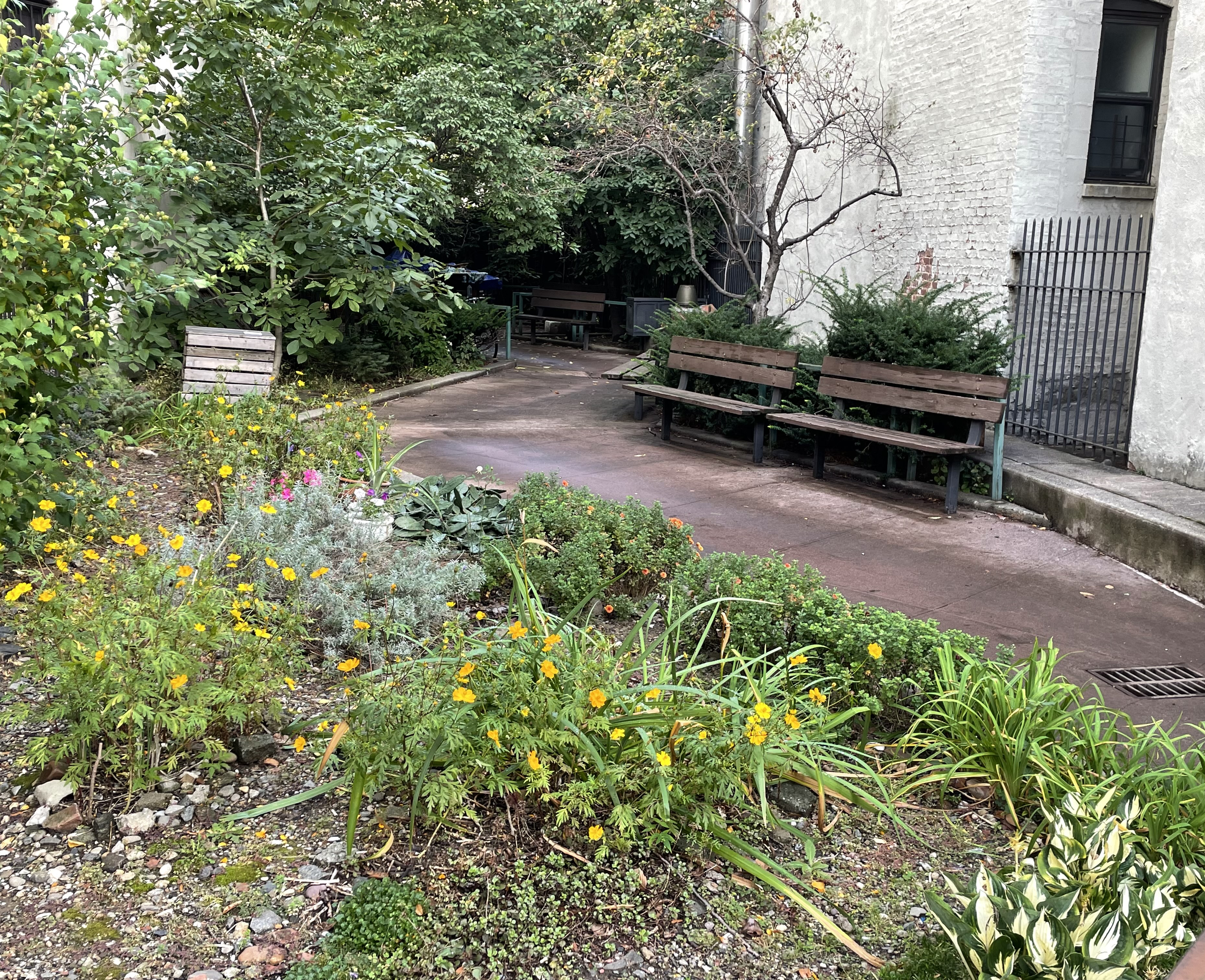 12 East 132nd Street, Unit 4B Manhattan, NY 10037 - Photo 15 of 17