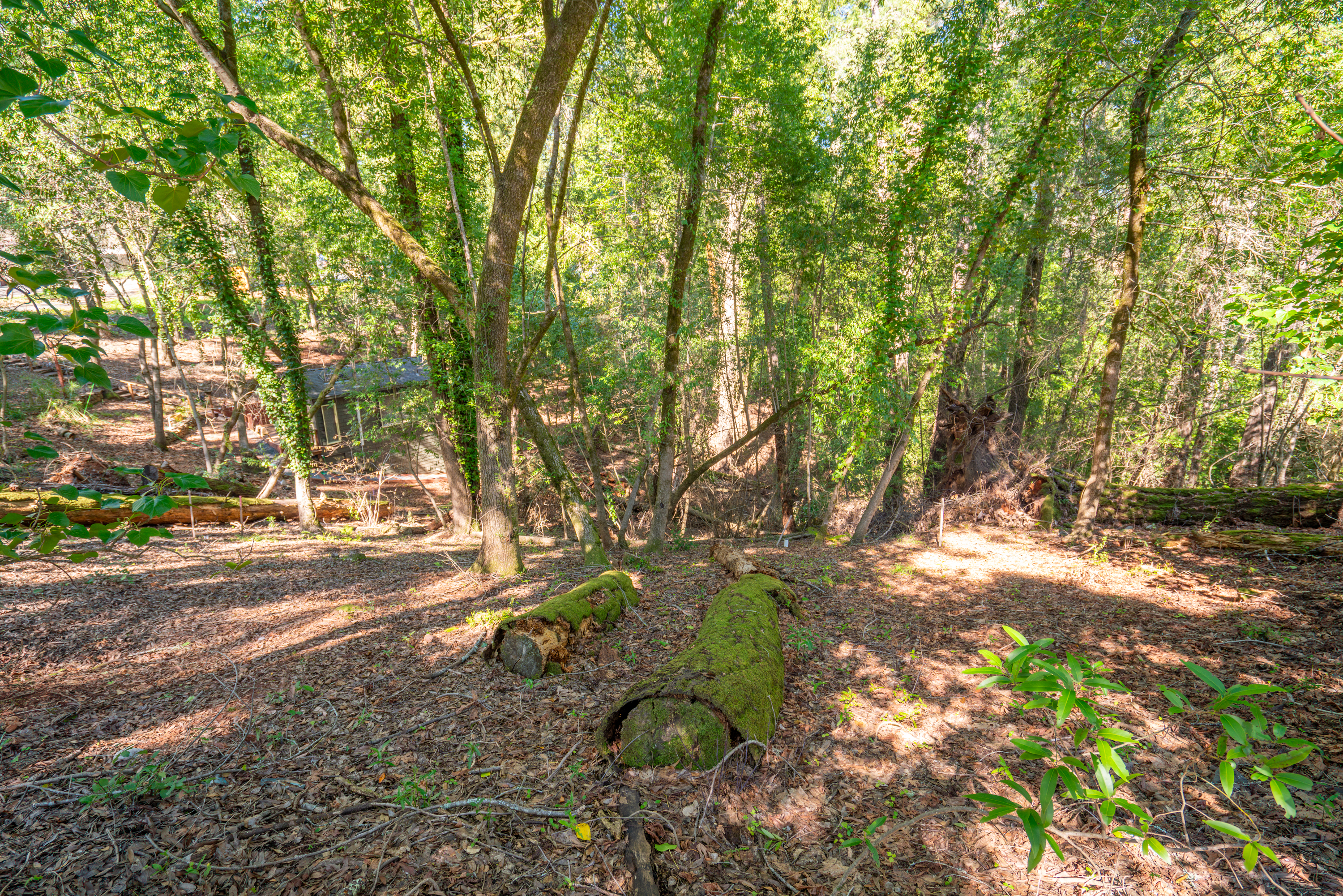 10612 Canyon Road Forestville, CA 95436 - Photo 6 of 15 a backyard of a house with a yard and outdoor seating