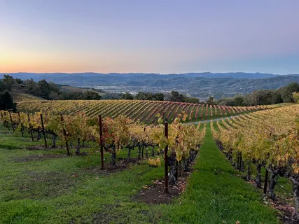 $1,795,000 | 31920 Pine Mountain Road, Cloverdale, CA 95425