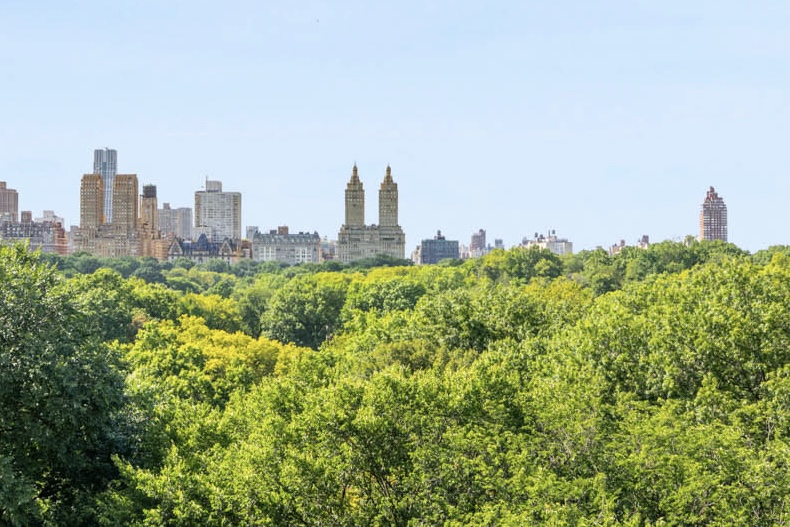 936 5th Avenue, Unit 10AB Manhattan, NY 10021 - Photo 2 of 39 a view of a city with tall buildings in the background