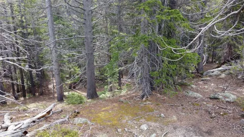 $65,000 | 0 Brook Drive, Idaho Springs, CO 80452