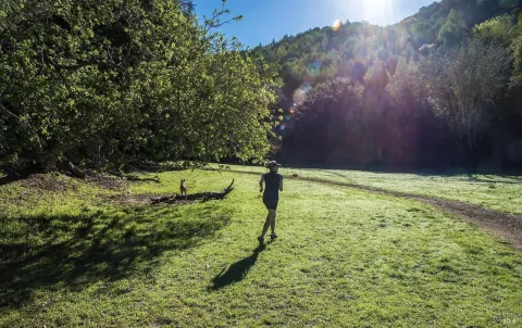 $1,395,000 | 142 Dominga Avenue, Fairfax, CA 94930