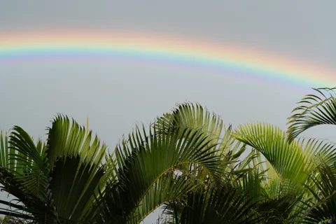 $2,795,000 | 78 Aleiki Place, Unit A, Paia, HI 96779