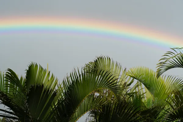 $2,795,000 | 78 Aleiki Place, Unit A, Paia, HI 96779