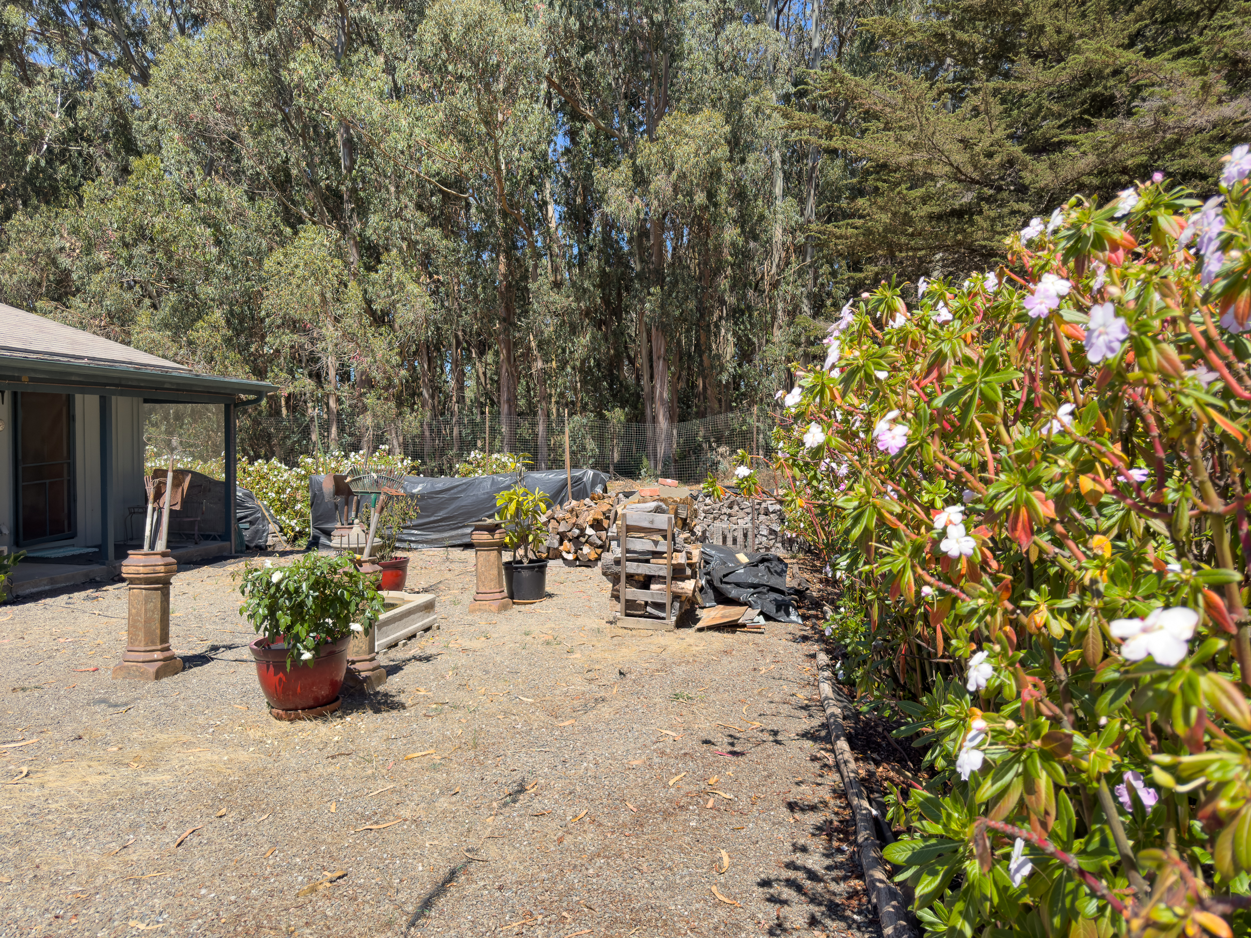 44260 Biaggi Road Manchester, CA 95459 - Photo 19 of 50 Gallery Image 19