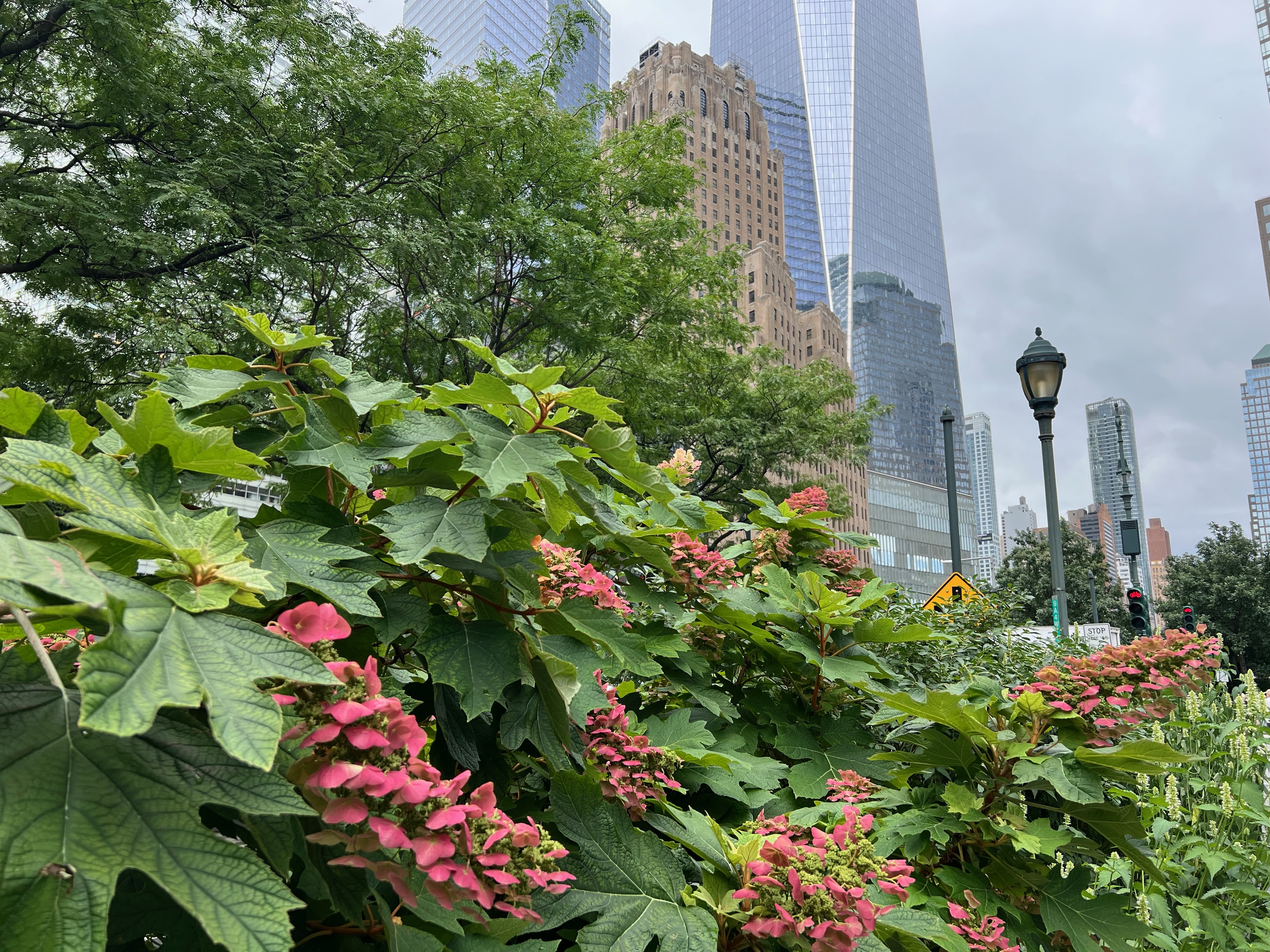88 Greenwich Street, Unit 1023 Manhattan, NY 10006 - Photo 11 of 20 a picture of flowers