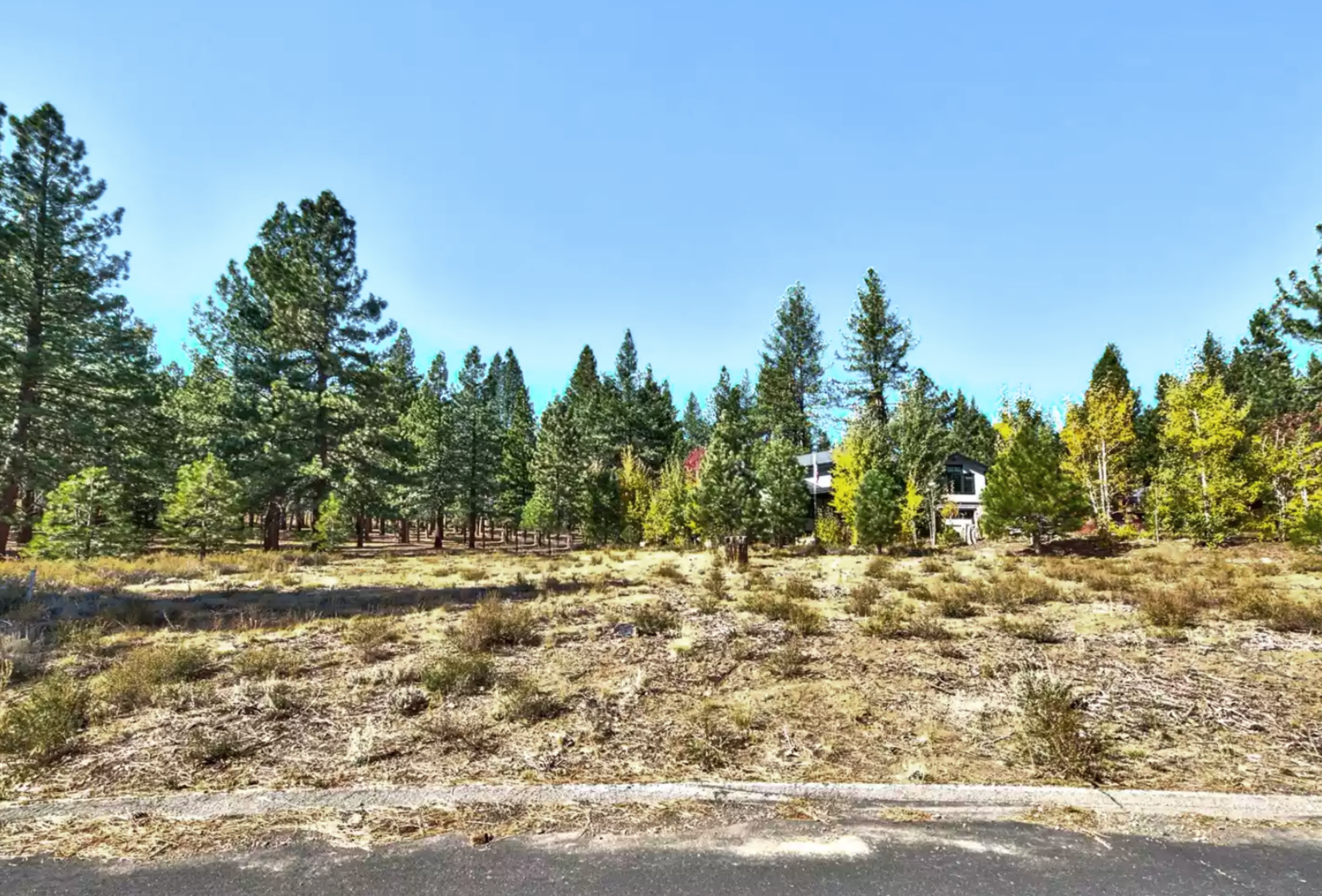 11670 Bottcher Loop Truckee, CA 96161 - Photo 6 of 16