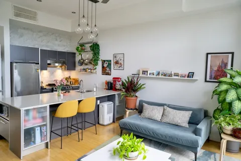 a living room with furniture and a potted plant