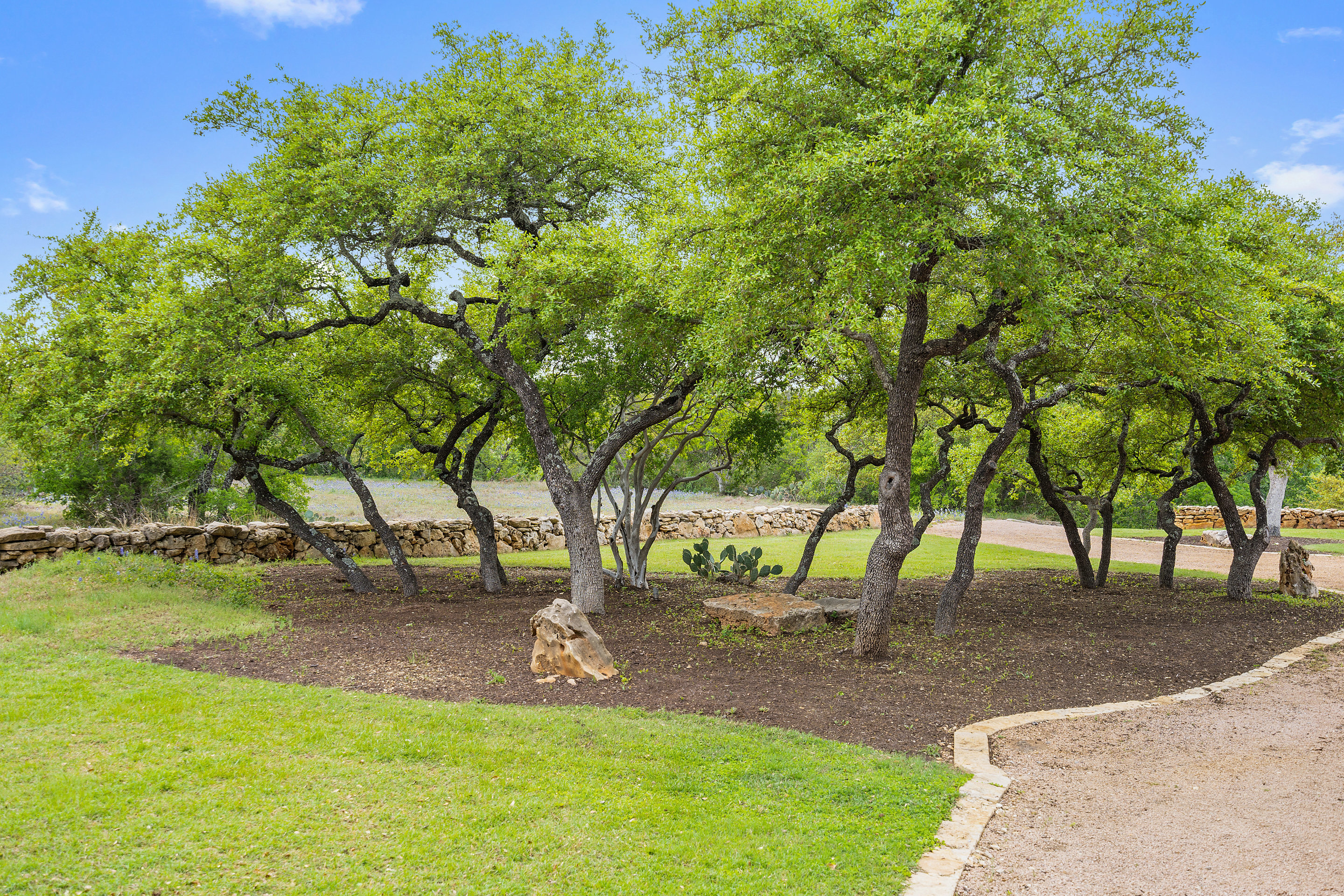 808 Rivercliff Drive Spicewood, TX 78669 - Photo 71 of 71 a view of a yard with a tree