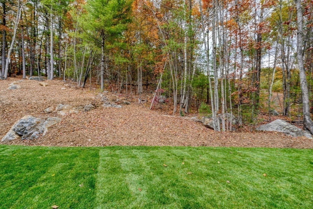 171 Randall Road Berlin, MA 01503 - Photo 14 of 41 a view of a yard with a tree