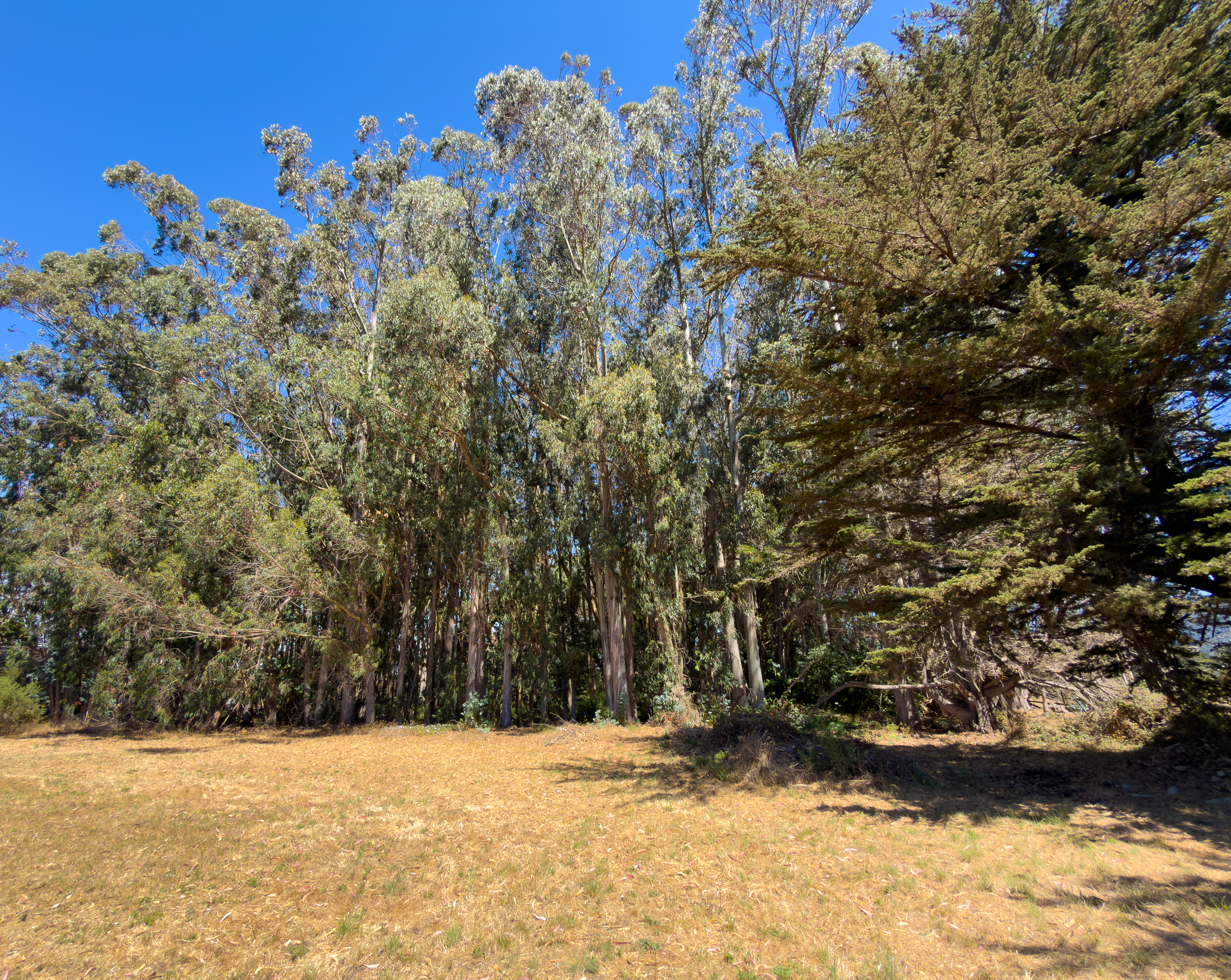 44260 Biaggi Road Manchester, CA 95459 - Photo 40 of 50 Gallery Image 40