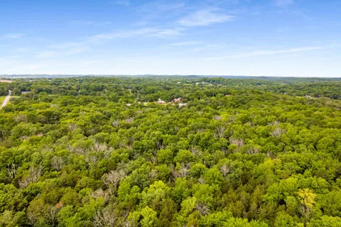 a view of a field with an ocean