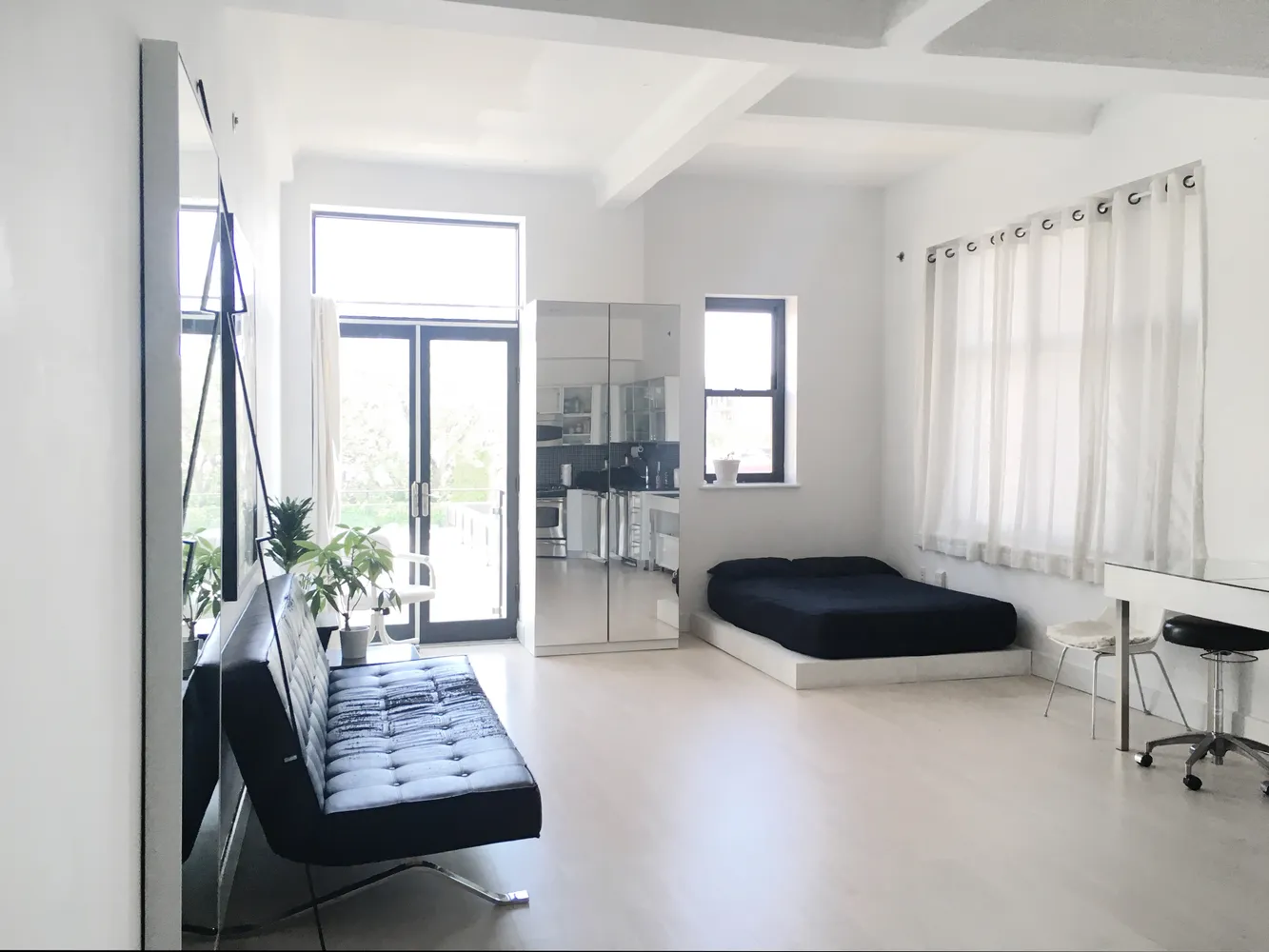 a living room with furniture and a potted plant