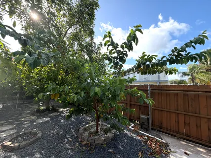 a view of outdoor space and yard