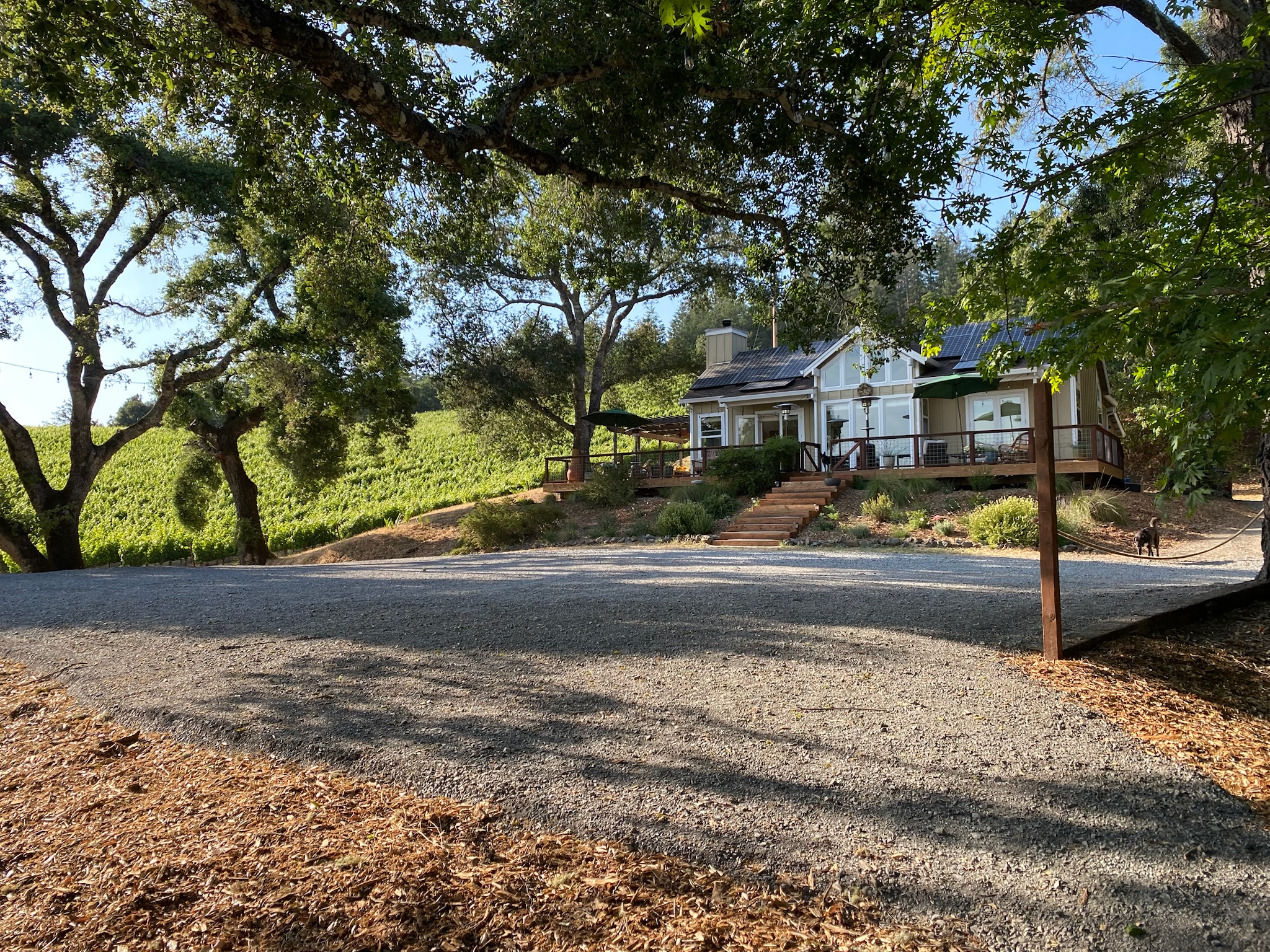 31920 Pine Mountain Road Cloverdale, CA 95425 - Photo 10 of 64