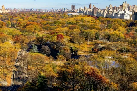 $19,995,000 | 110 Central Park South, Unit PH1 | Central Park South