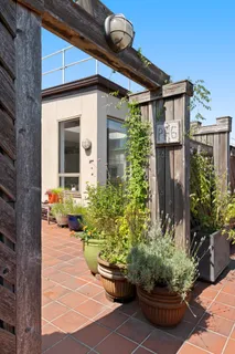 a view of a house with potted plants