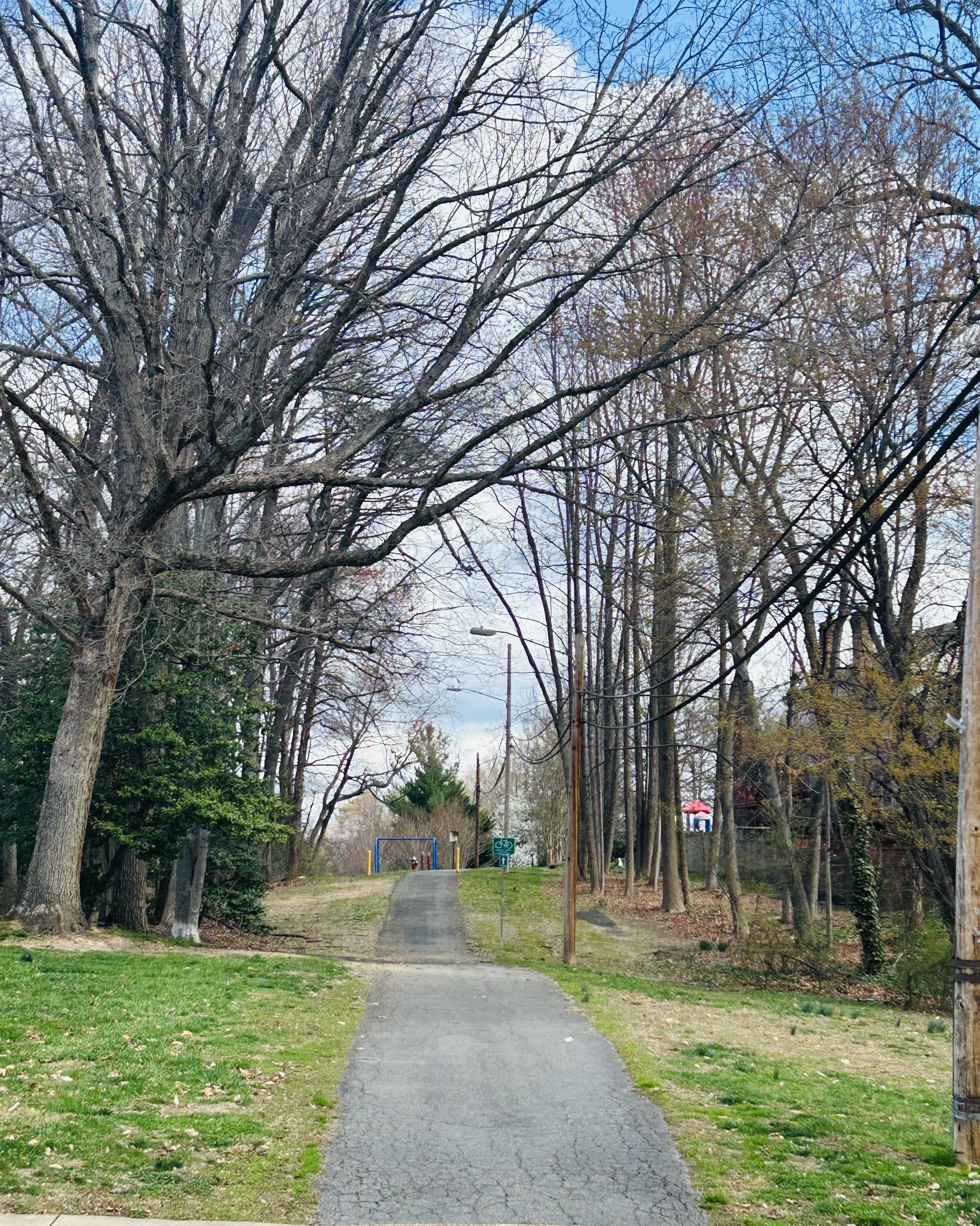 7265 Kousa Lane Springfield, VA 22152 - Photo 5 of 9