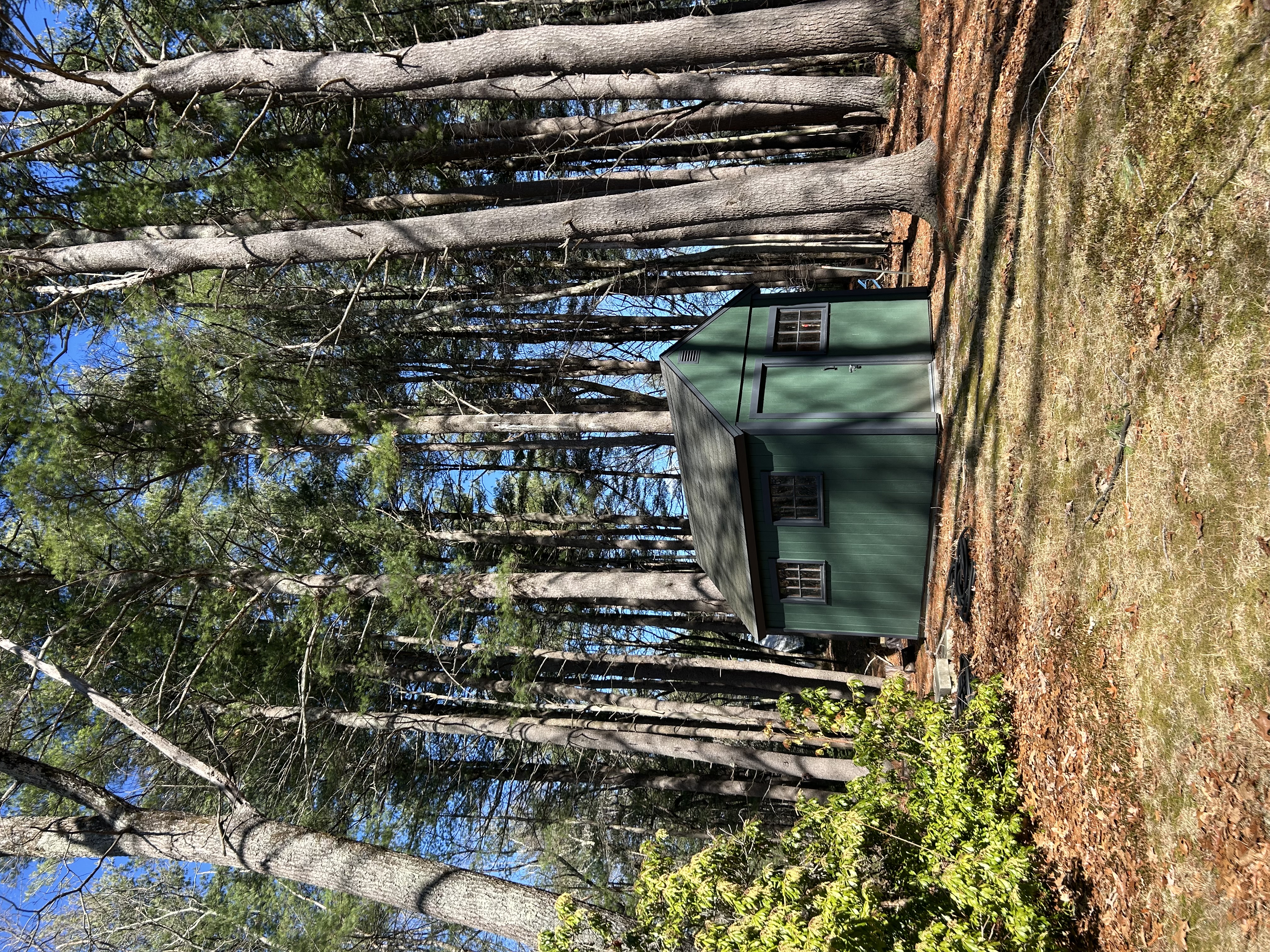 142 Tower Road Lincoln, MA 01773 - Photo 25 of 31 a view of a house with a tree