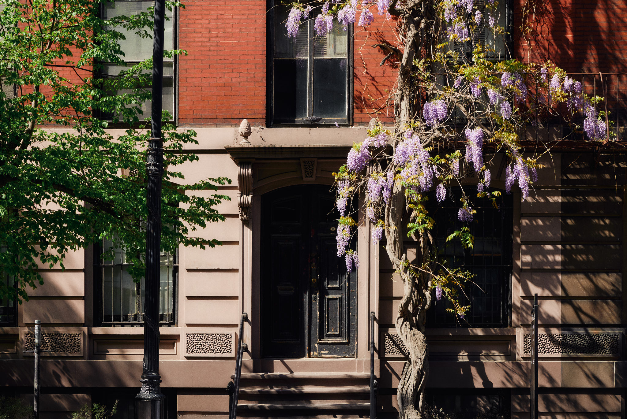 a view of a house with a tree