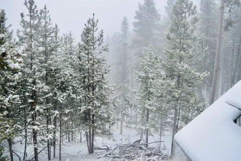 $599,000 | 240 Deer Road, Evergreen, CO 80439