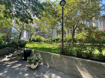 a view of a garden with plants