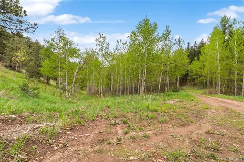 a view of backyard with green space