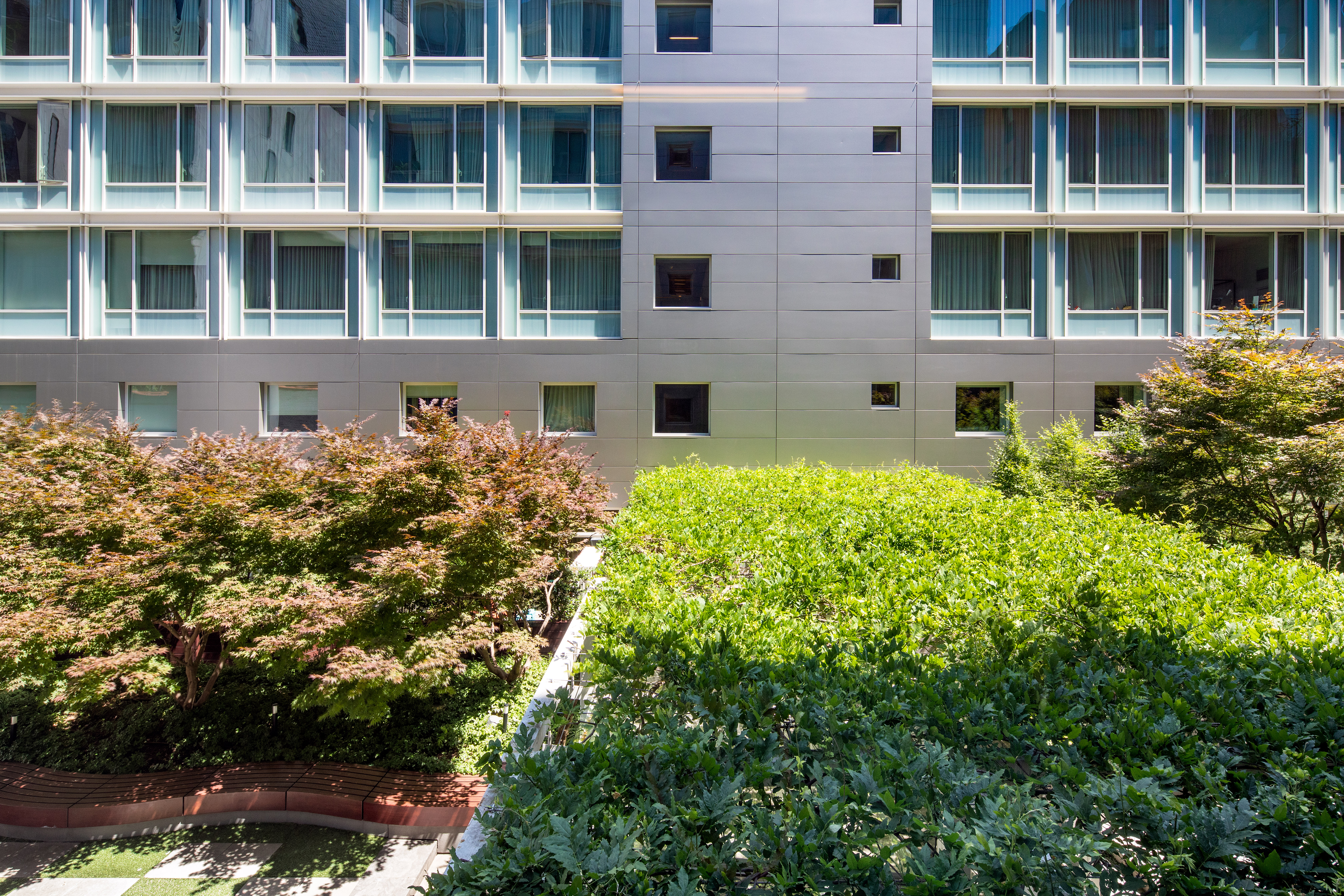 311 West Broadway, Unit 6J Manhattan, NY 10013 - Photo 16 of 19 a building view with a garden