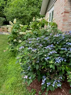 $675,000 | 115 Lakeside Drive, Greenbelt, MD 20770