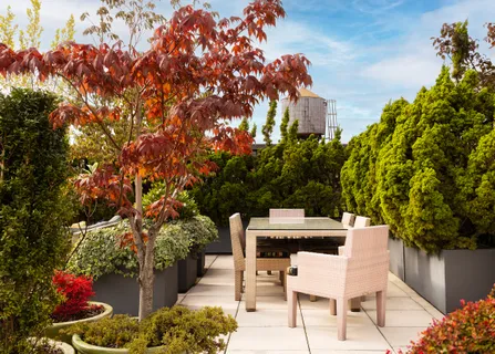a view of a chairs and table in the patio