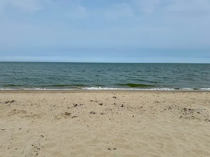 a view of beach and ocean