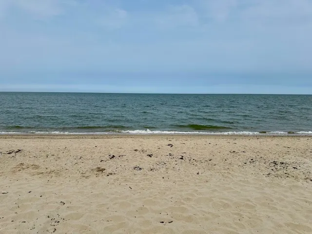 a view of beach and ocean