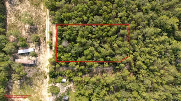 Contact Agent | Lots 7, 8, 9, 10 Tarpon Lane, DeFuniak Springs, FL 32433