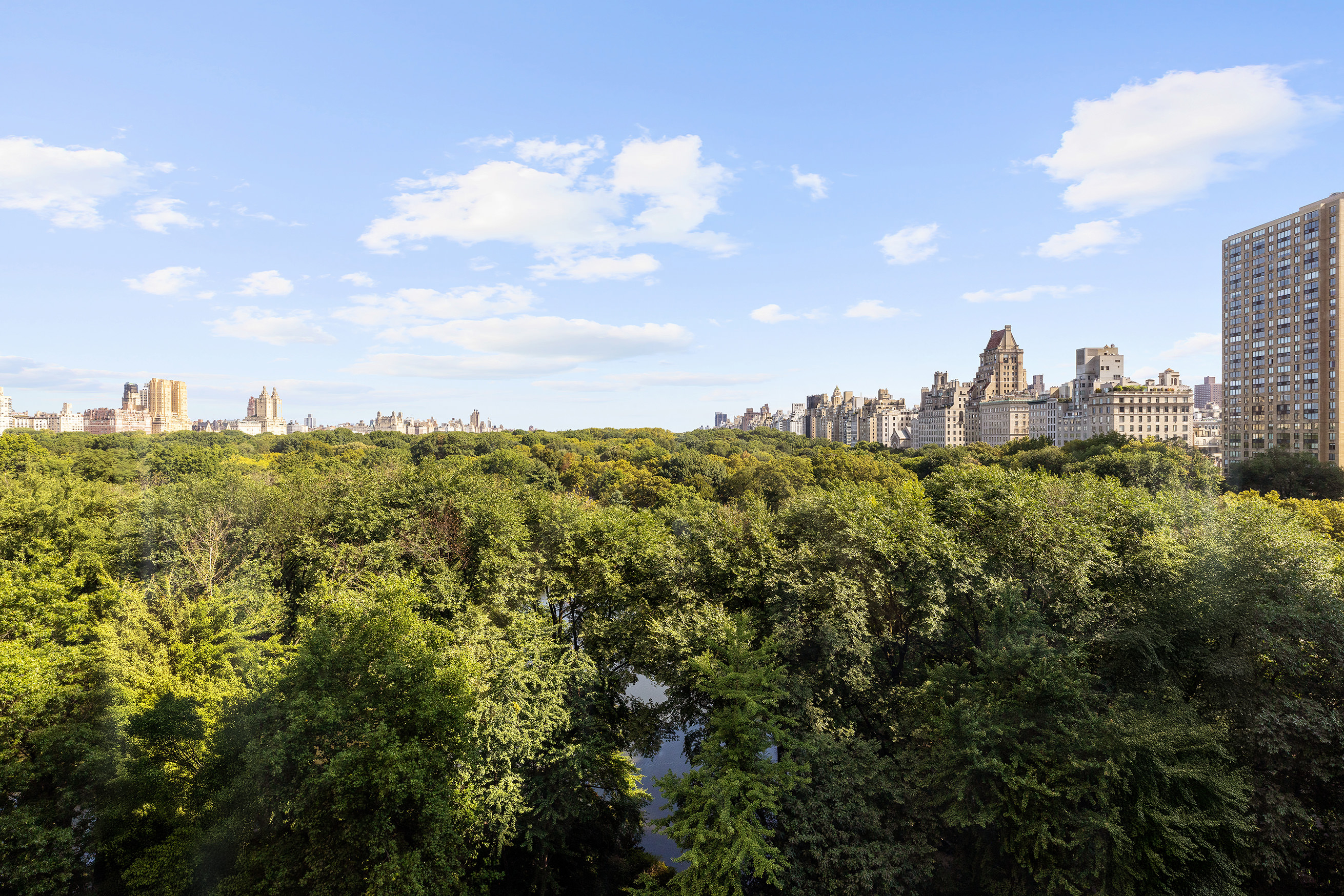 1 Central Park South, Unit 8010203 Manhattan, NY 10019 - Photo 2 of 45 a view of a city