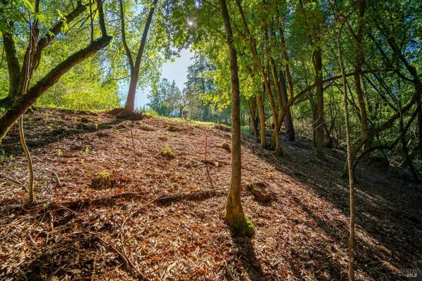 $125,000 | 10608 Canyon Road, Forestville, CA 95436