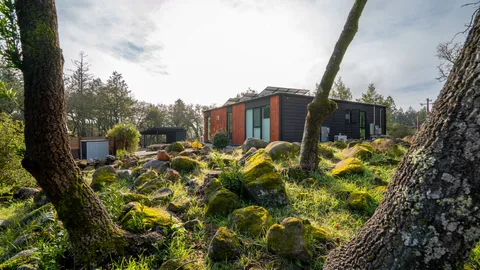 a view of a garden with plants