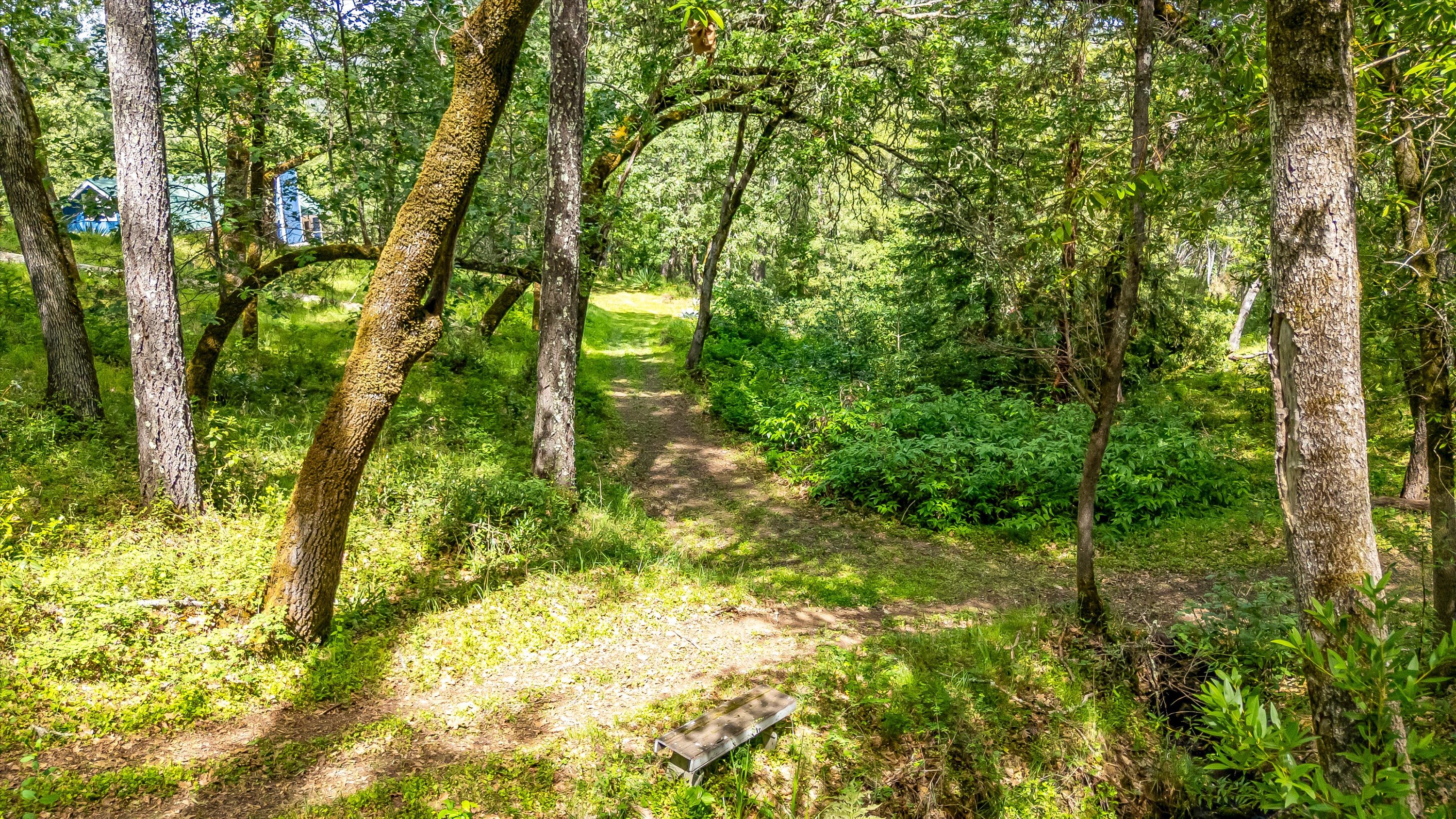 6435 Dry Creek Road Napa, CA 94558 - Photo 21 of 34