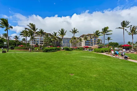 a view of a backyard of the house