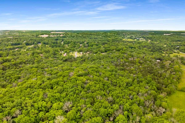 a view of a green field with lots of bushes